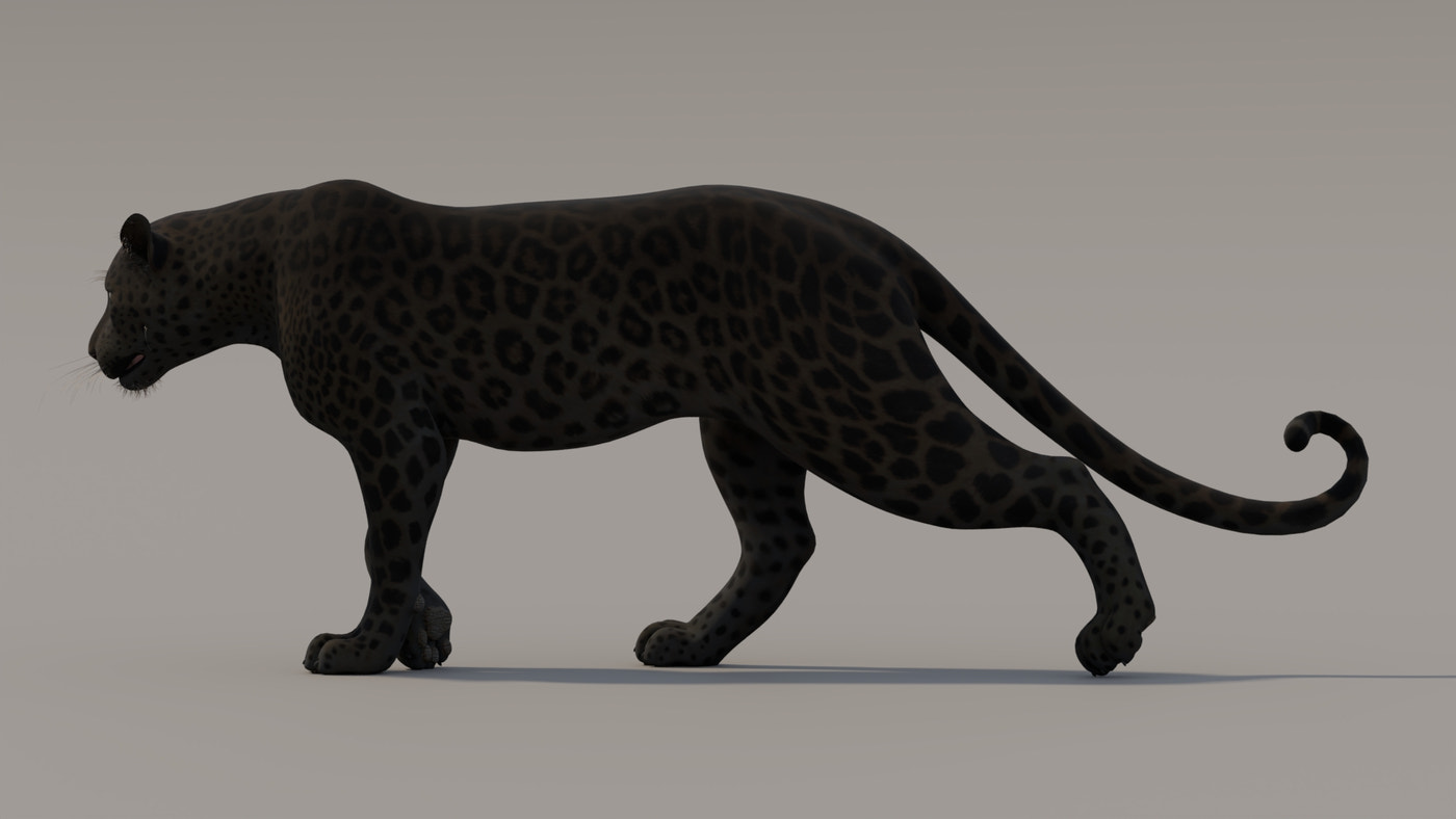 Animated Black Panther 3D Model - 360 Degree View