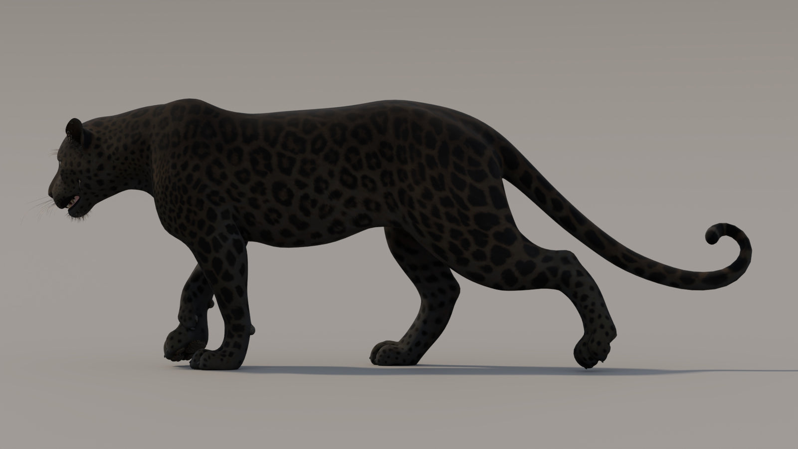 Animated Black Panther 3D Model 360° view 3 frame 3