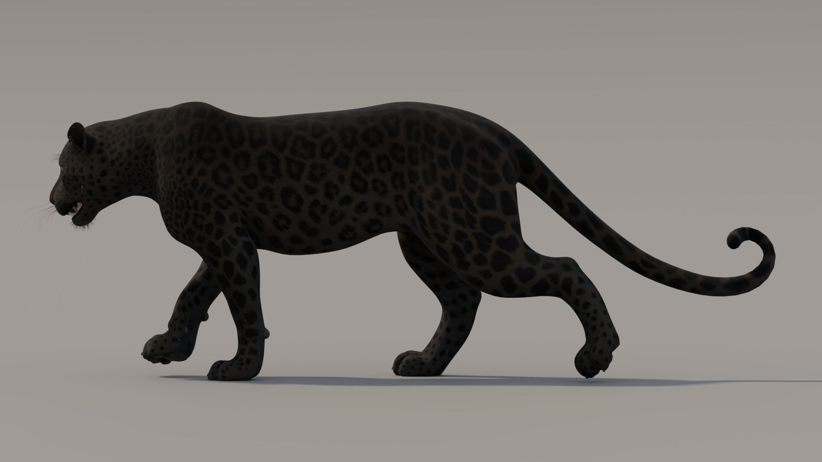 Animated Black Panther 3D Model 360° view 3 frame 4