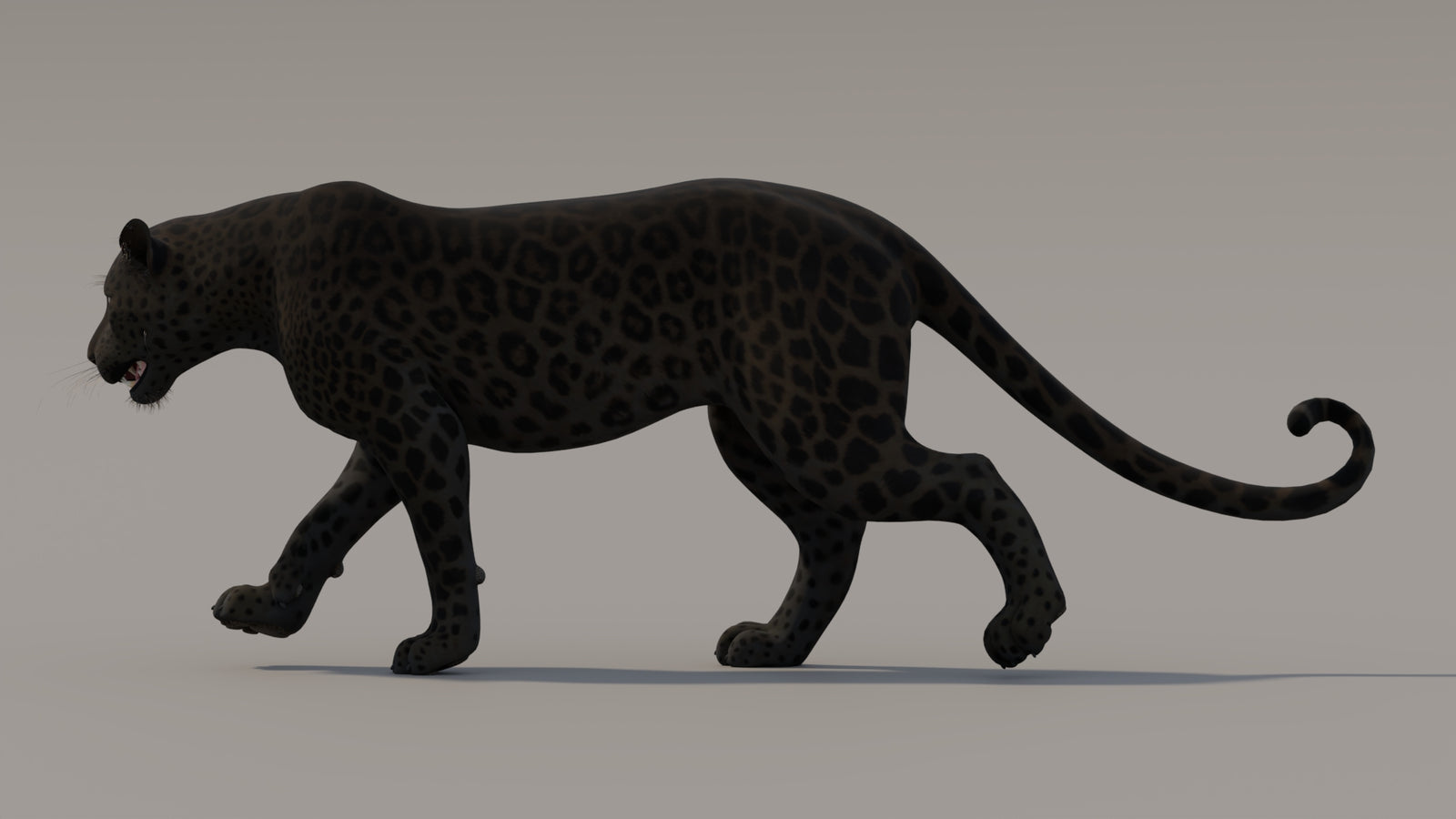 Animated Black Panther 3D Model 360° view 3 frame 5