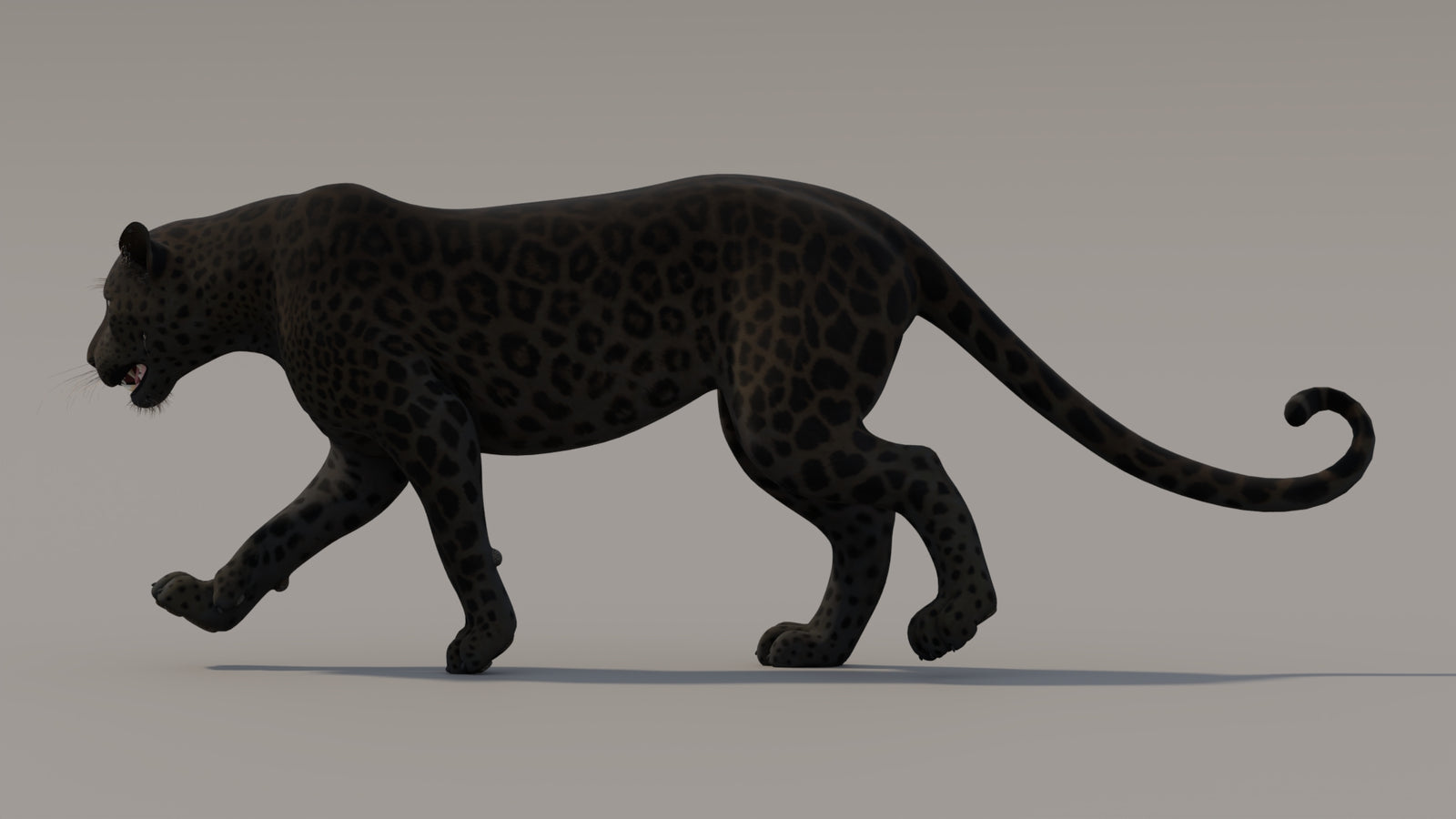 Animated Black Panther 3D Model 360° view 3 frame 6