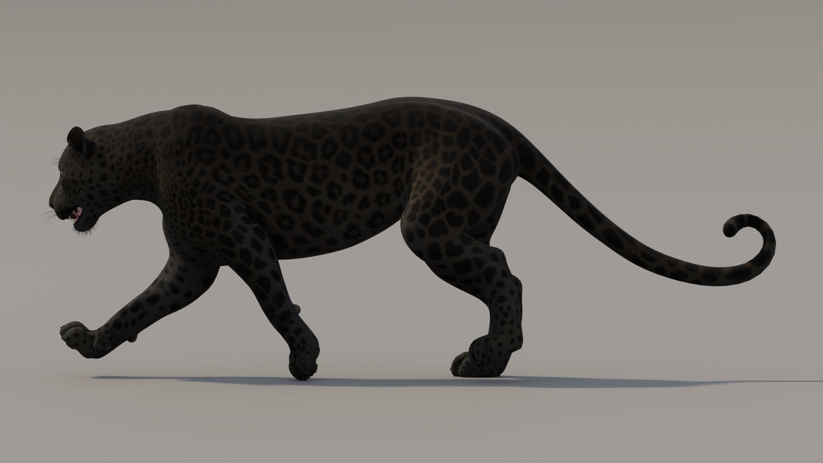 Animated Black Panther 3D Model 360° view 3 frame 8