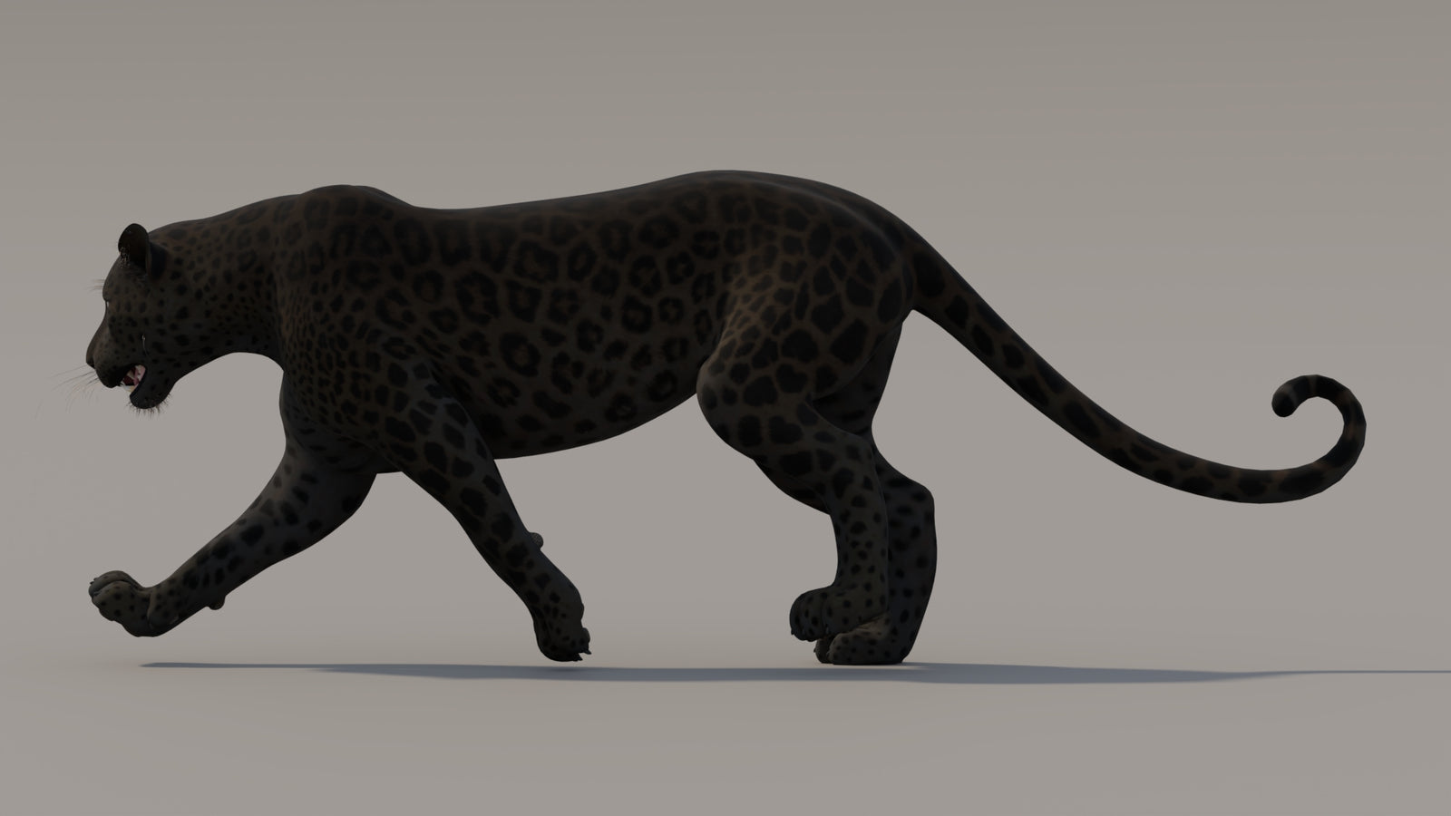 Animated Black Panther 3D Model 360° view 3 frame 9