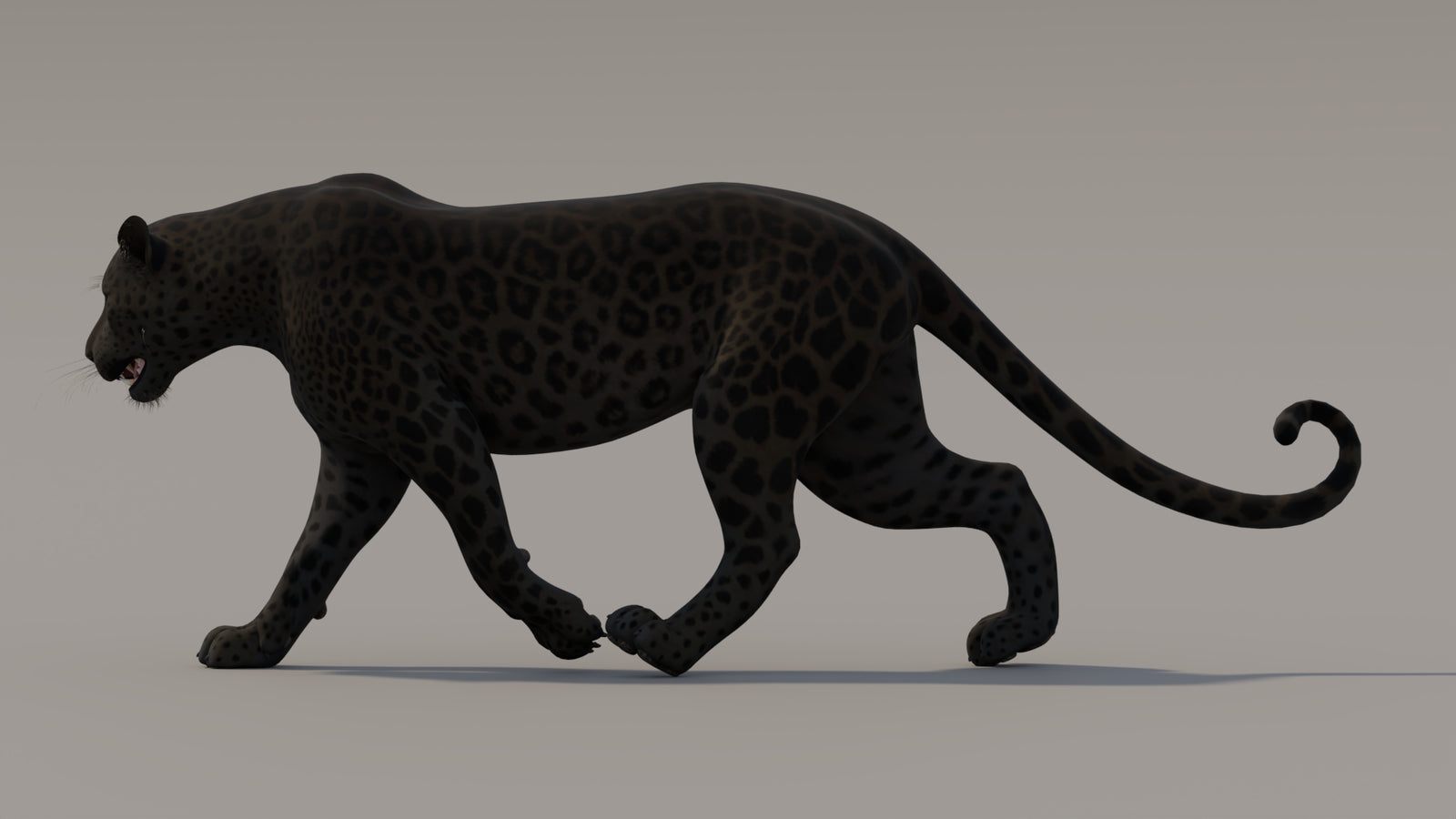 Animated Black Panther 3D Model 360° view 3 frame 15