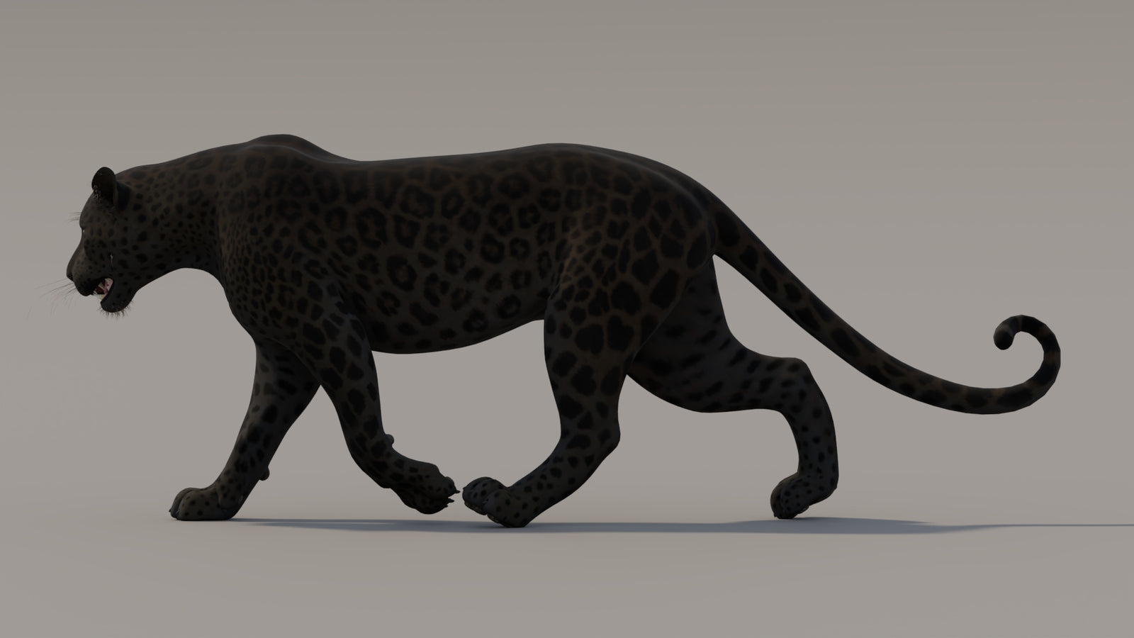Animated Black Panther 3D Model 360° view 3 frame 16