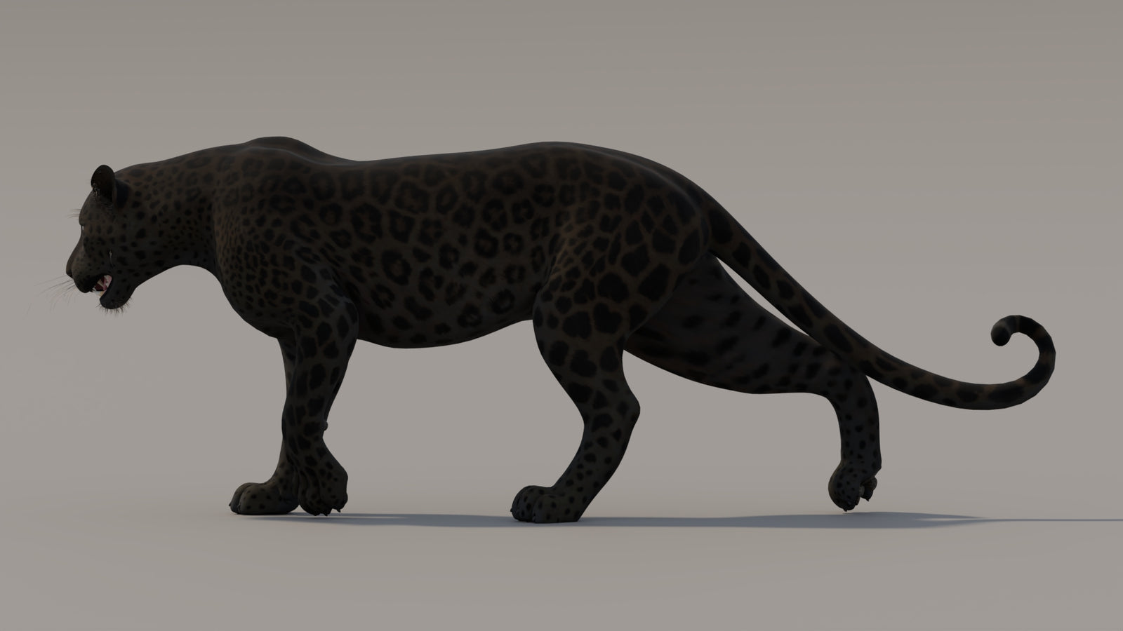 Animated Black Panther 3D Model 360° view 3 frame 20