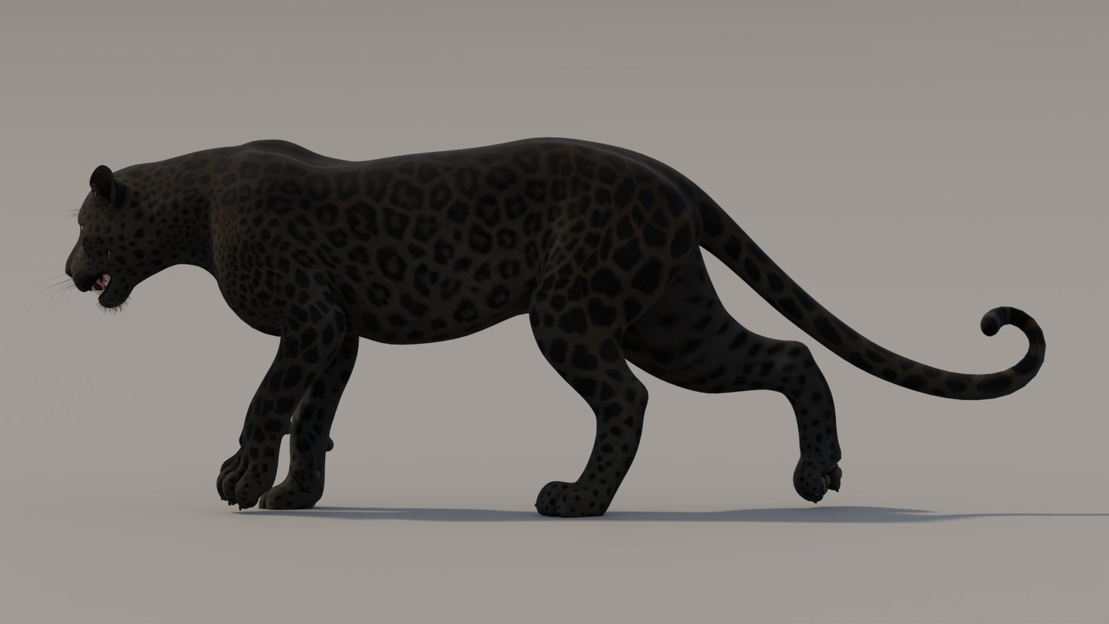 Animated Black Panther 3D Model 360° view 3 frame 22