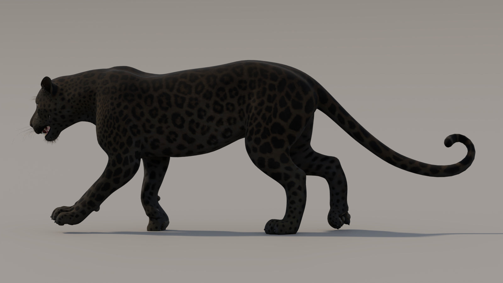 Animated Black Panther 3D Model 360° view 3 frame 24