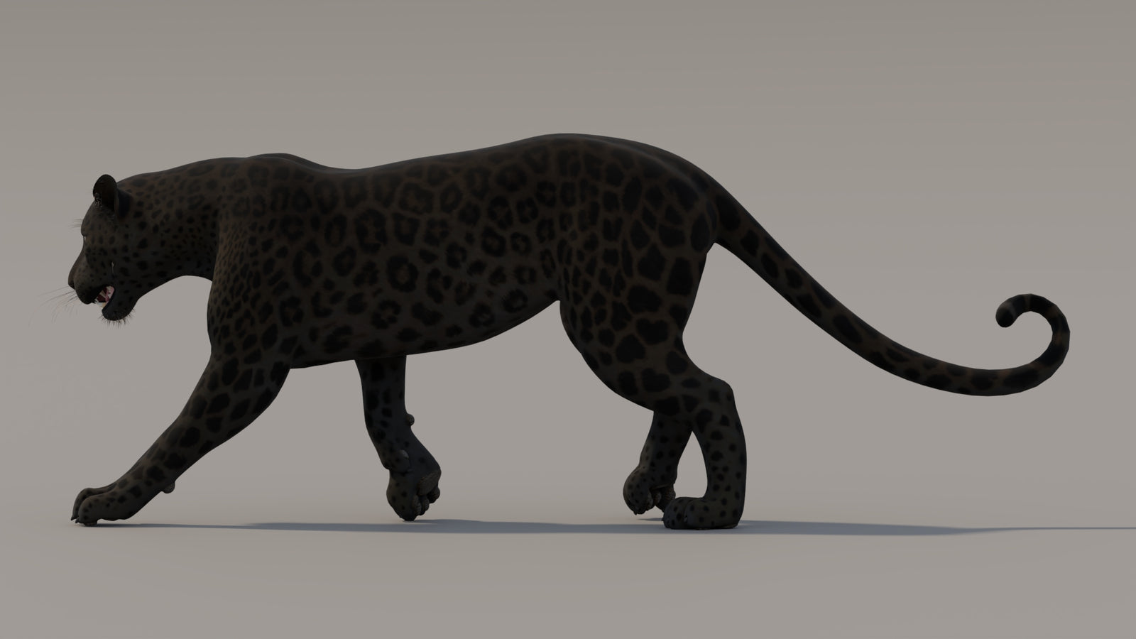 Animated Black Panther 3D Model 360° view 3 frame 28