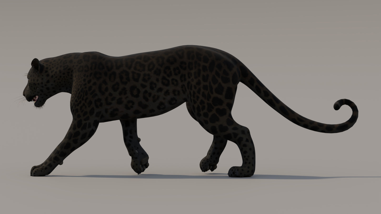 Animated Black Panther 3D Model 360° view 3 frame 29