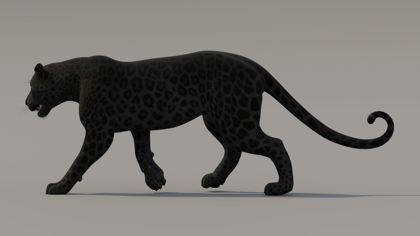 Animated Black Panther 3D Model 360° view 3 frame 31
