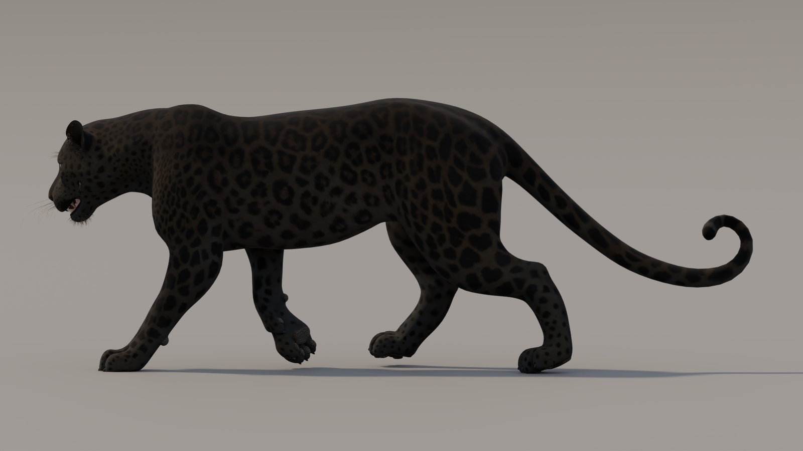 Animated Black Panther 3D Model 360° view 3 frame 32