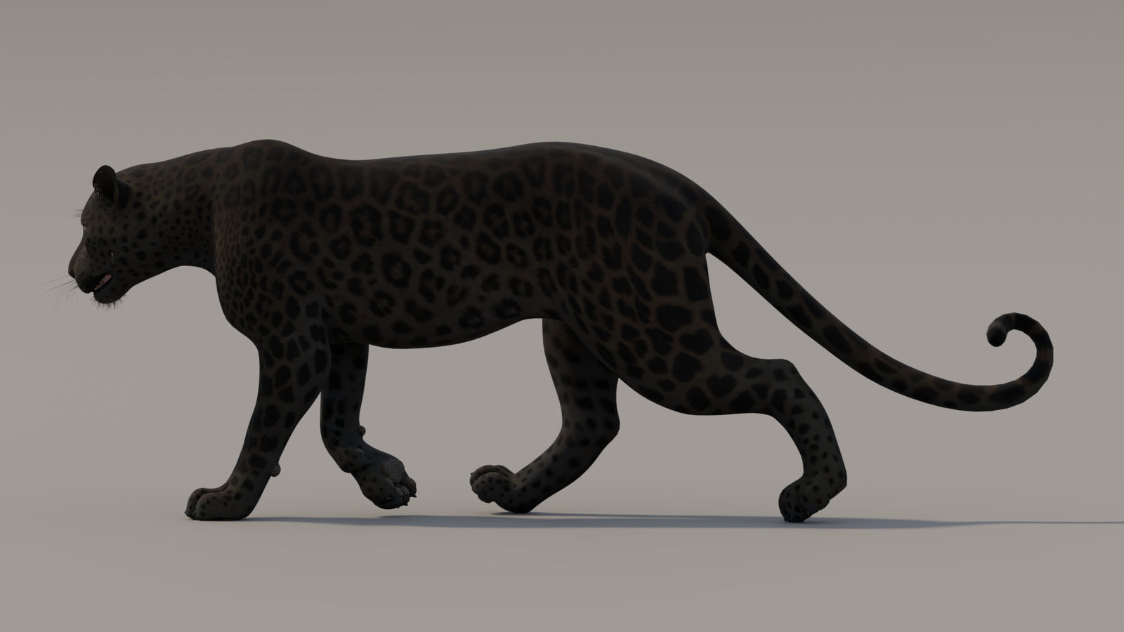 Animated Black Panther 3D Model 360° view 3 frame 34