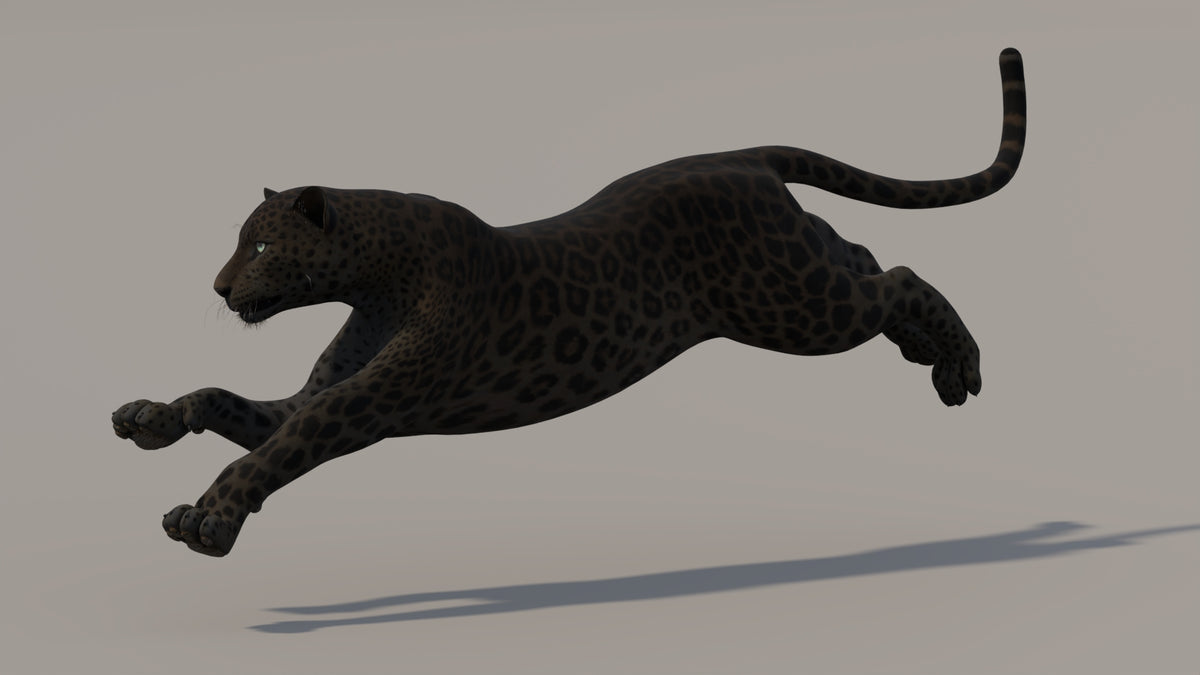 Animated Black Panther 3D Model - 360 Degree View