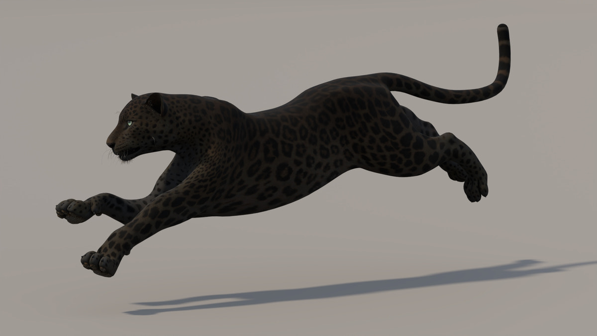 Animated Black Panther 3D Model - 360 Degree View