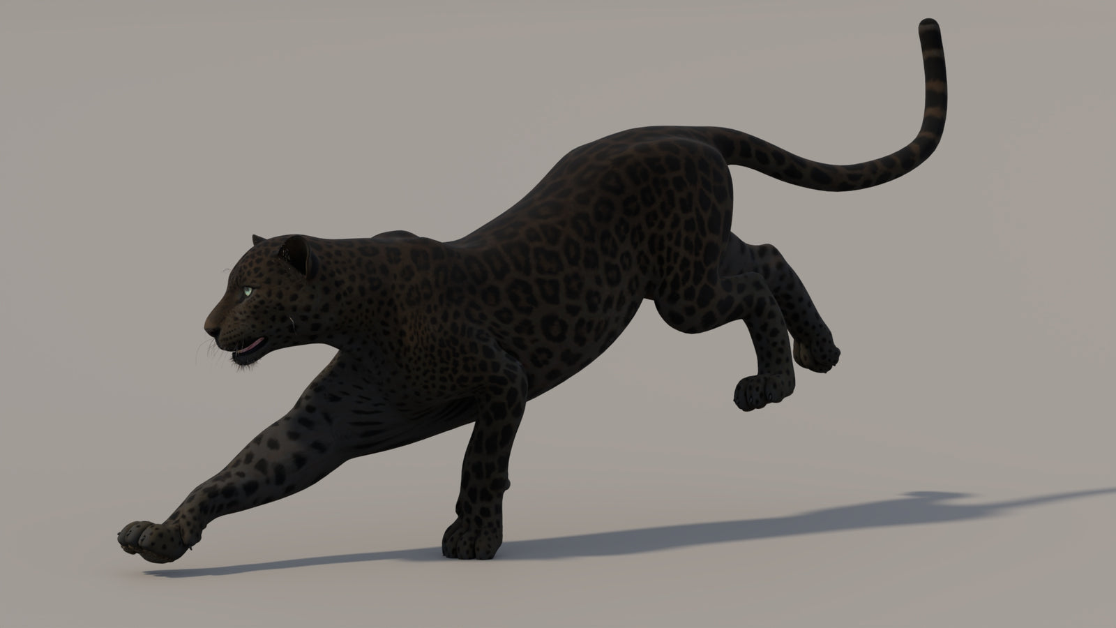 Animated Black Panther 3D Model 360° view 5 frame 3