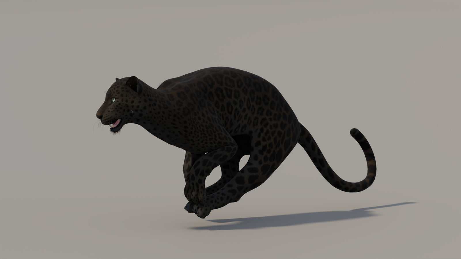 Animated Black Panther 3D Model 360° view 5 frame 8