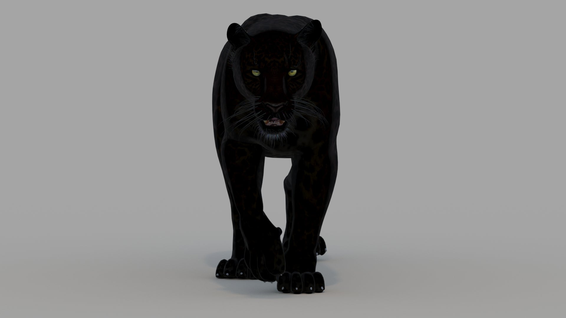 Animated Black Panther Animal 3D Model - 360 Degree View