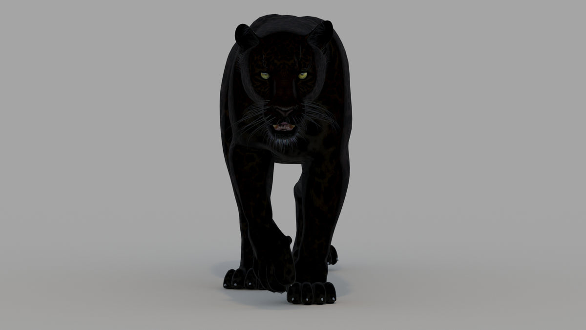 Animated Black Panther Animal 3D Model - 360 Degree View
