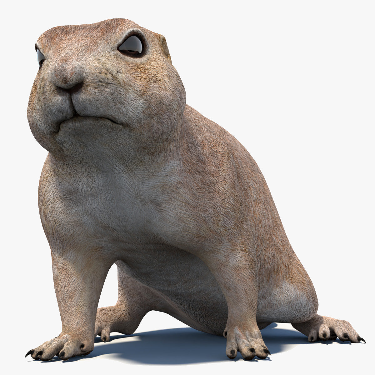 Animated Prairie Dog 3D Model