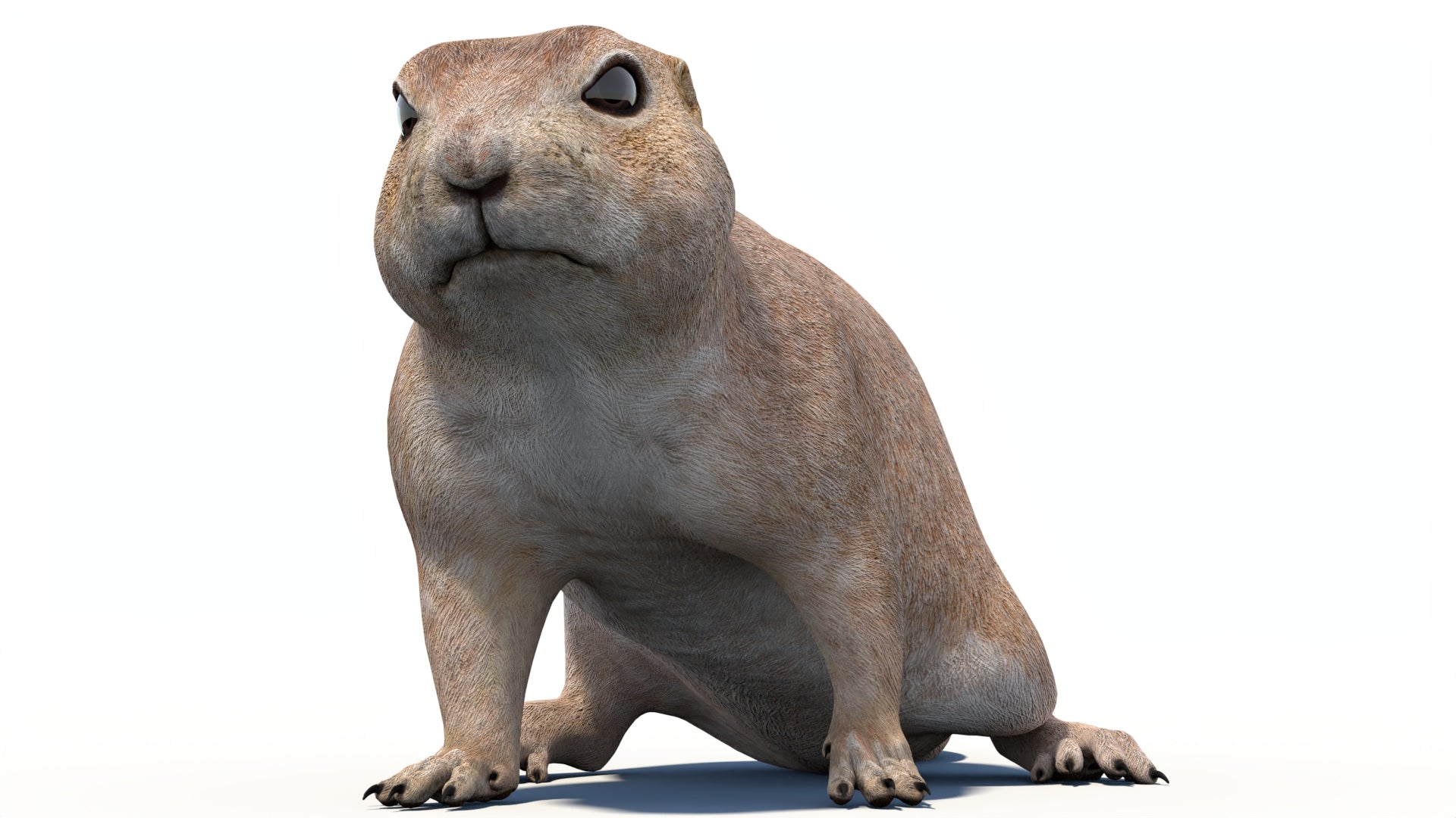Animated Prairie Dog 3D Model