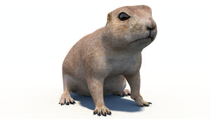 Animated Prairie Dog 3D Model Thumbnail