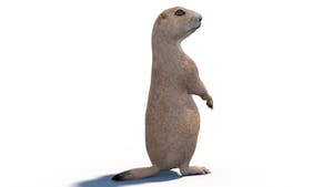 Animated Prairie Dog 3D Model Thumbnail