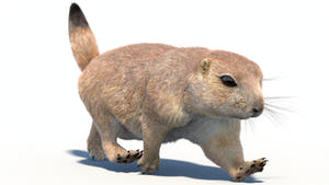 Animated Prairie Dog 3D Model with Fur Thumbnail