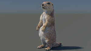 Animated Prairie Dog 3D Model with Fur Thumbnail