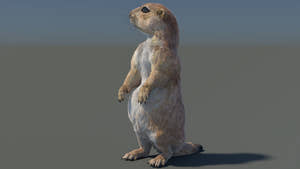 Animated Prairie Dog 3D Model with Fur standing pose Thumbnail