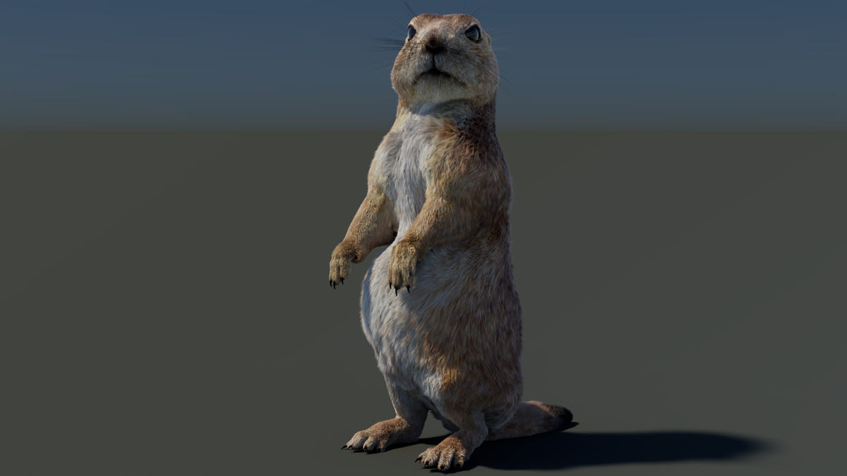 Animated Prairie Dog 3D Model with Fur
