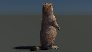 Animated Prairie Dog 3D Model with Fur Thumbnail