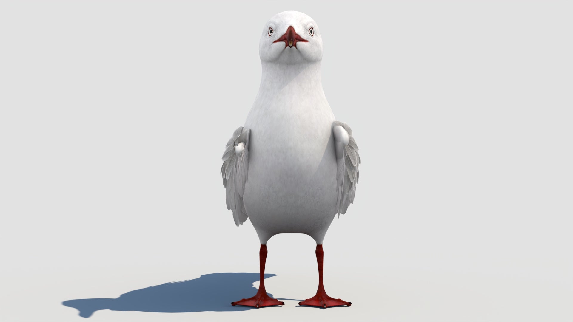 Animated Seagull 3D Model for Download