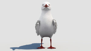 Animated Seagull 3D Model for Download Thumbnail