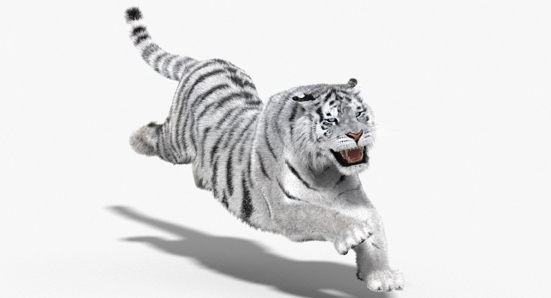 Animated Siberian White Tiger 3D Model with Fur