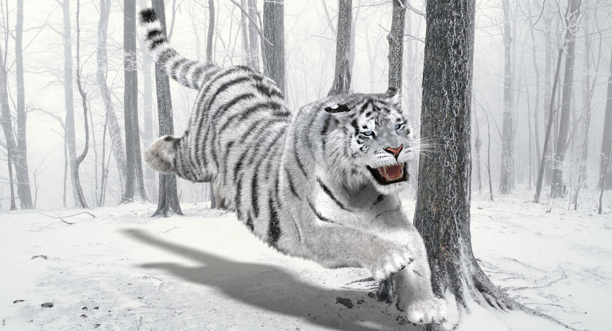 Animated white tiger 3D model front view with fur