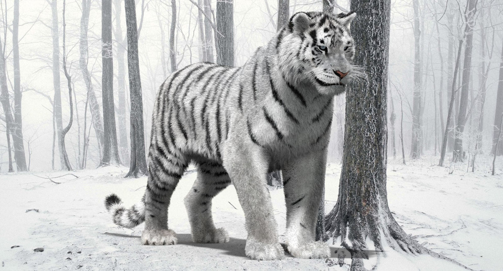 Animated Siberian White Tiger 3D Model with Fur