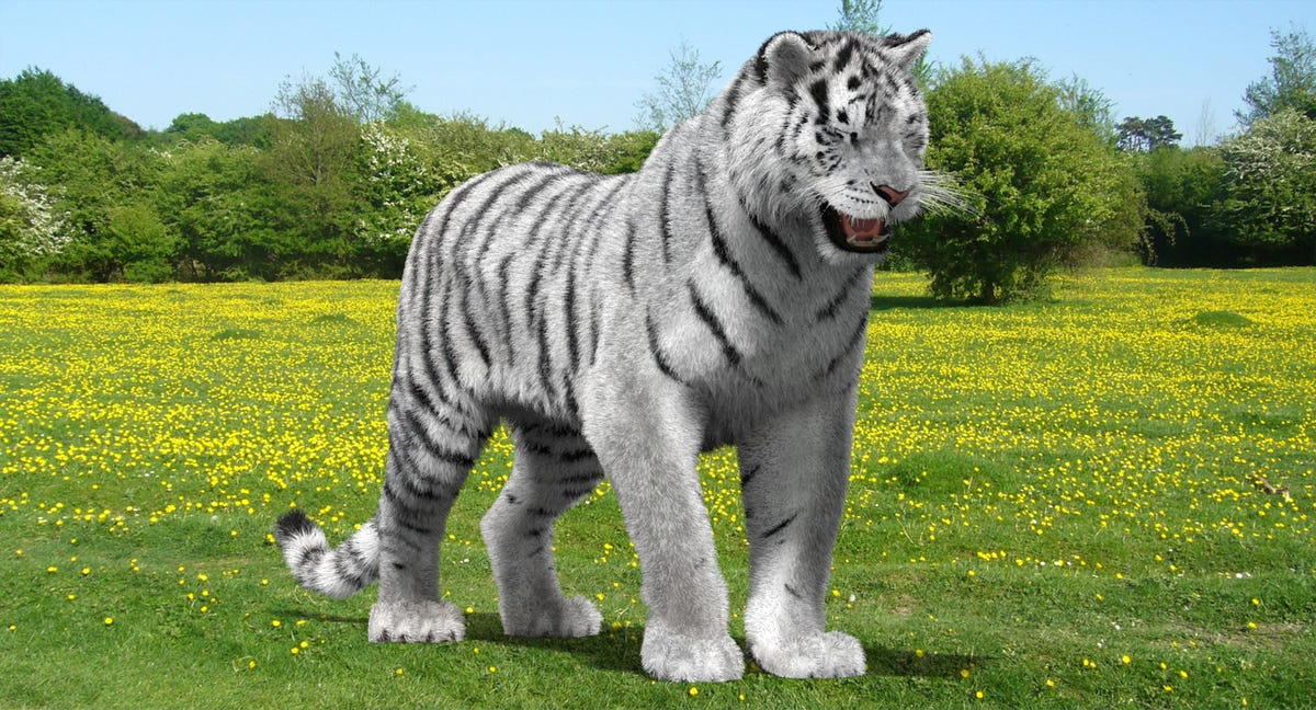 Animated Siberian White Tiger 3D Model with Fur