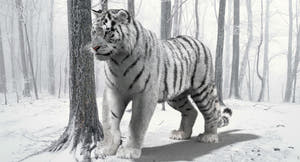 Animated Siberian White Tiger 3D Model with Fur Thumbnail