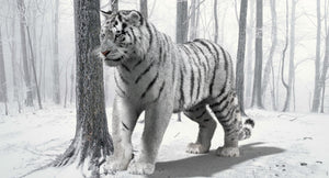 Animated Siberian White Tiger 3D Model with Fur Thumbnail