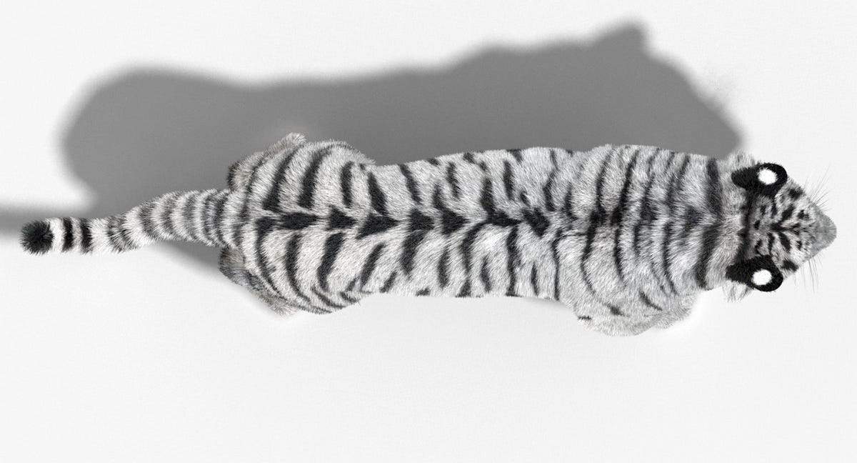 Animated Siberian White Tiger 3D Model with Fur