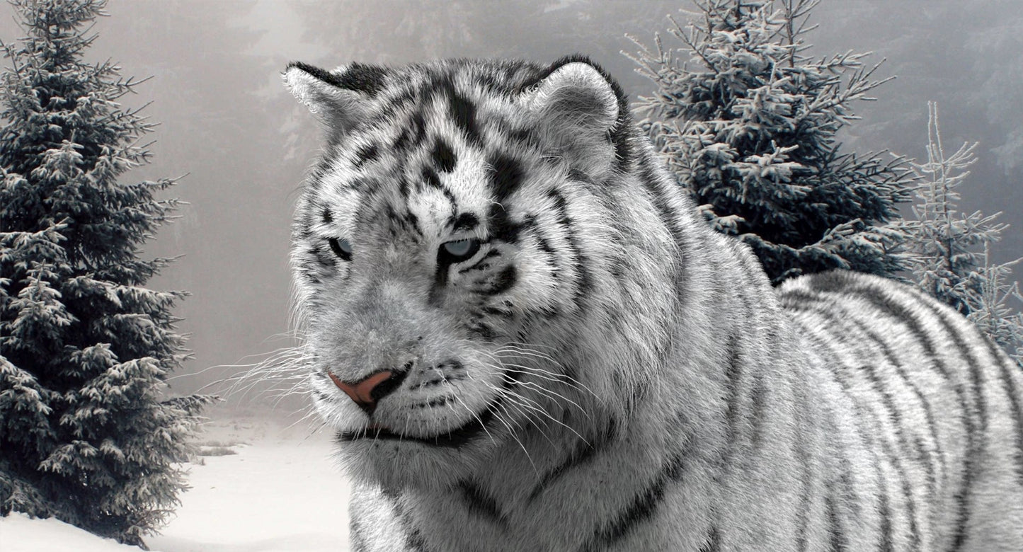 Animated Siberian White Tiger 3D Model Fur
