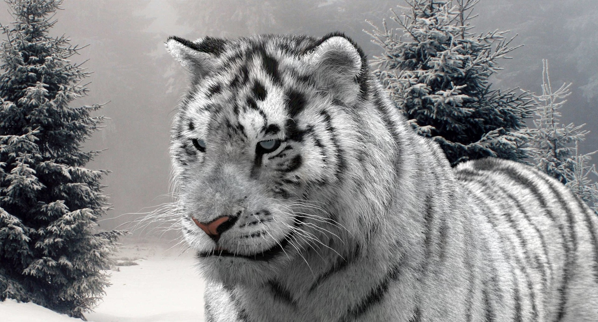 Animated Siberian White Tiger 3D Model with Fur