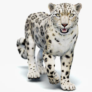 Animated Snow Leopard 3D Model - Game-Ready Thumbnail