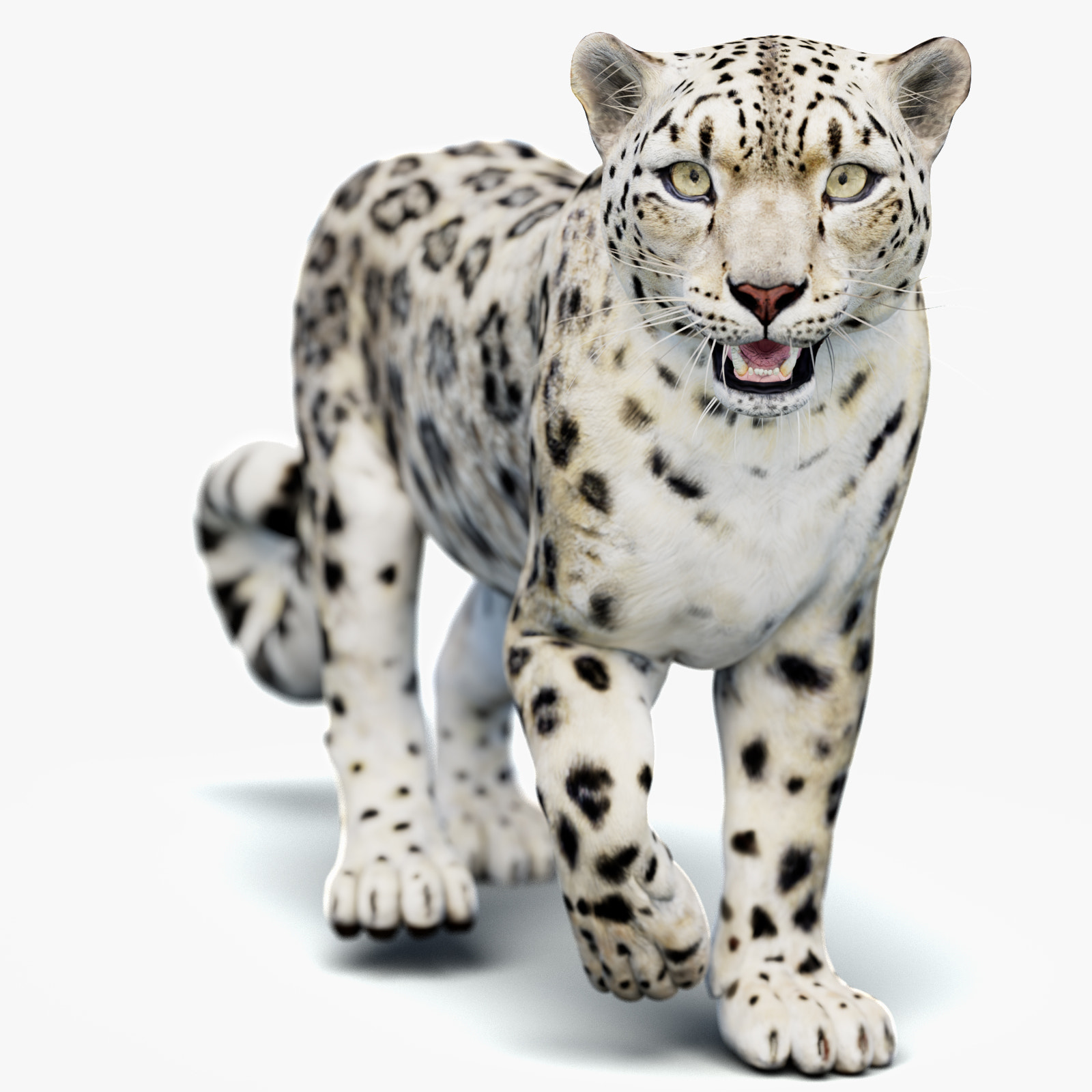 Animated Snow Leopard 3D Model - Game-Ready