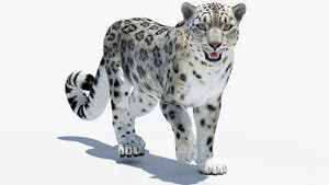 Animated Snow Leopard 3D Model for Game Thumbnail