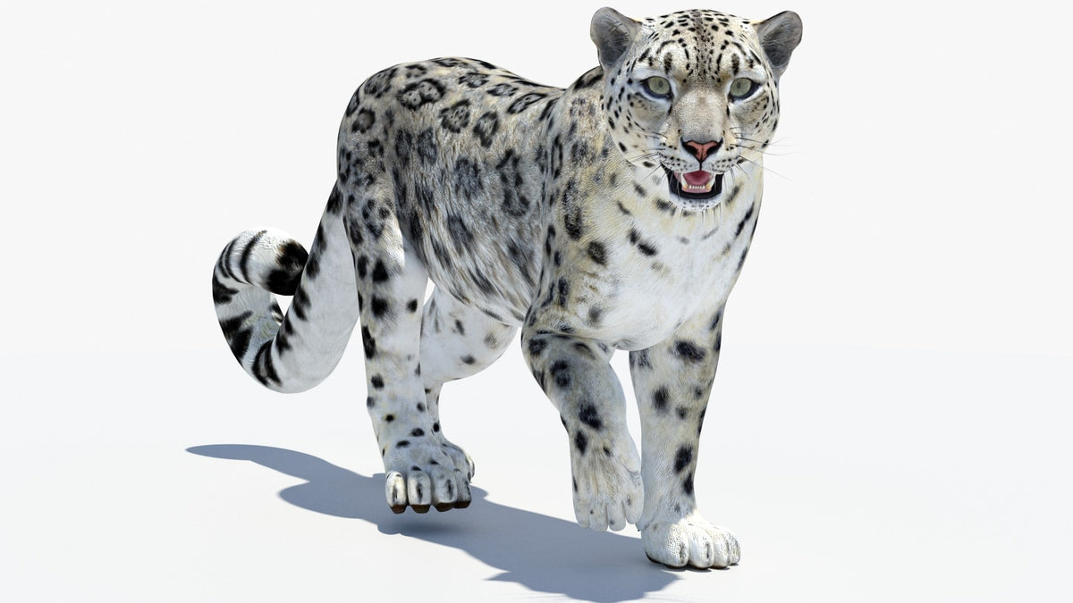Animated Snow Leopard 3D Model for Game