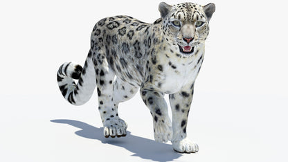 Animated Snow Leopard 3D Model