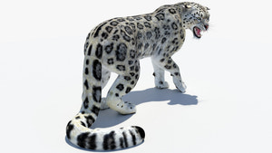 Animated Snow Leopard 3D Model for Game Projects Thumbnail