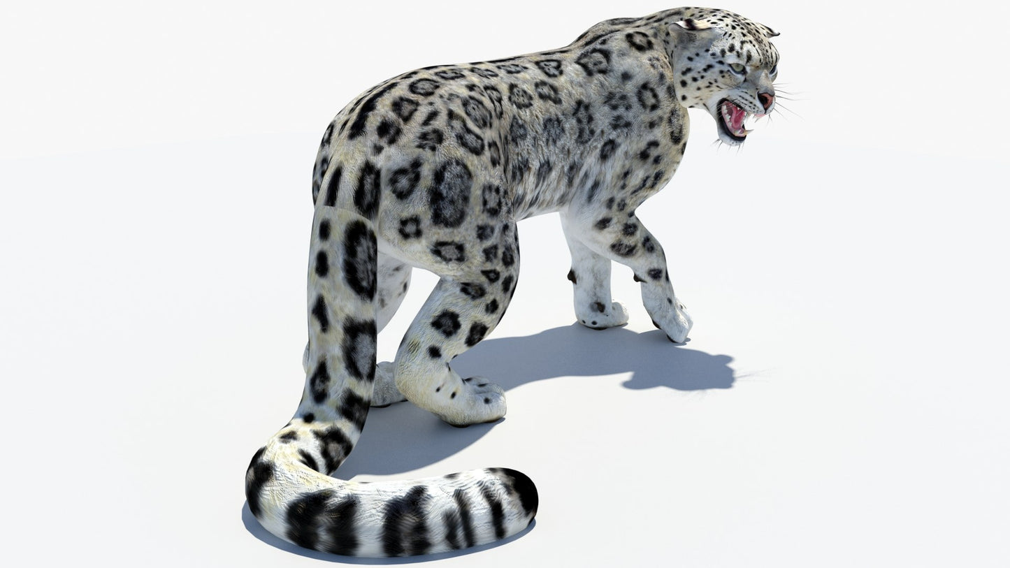 Animated Snow Leopard 3D Model